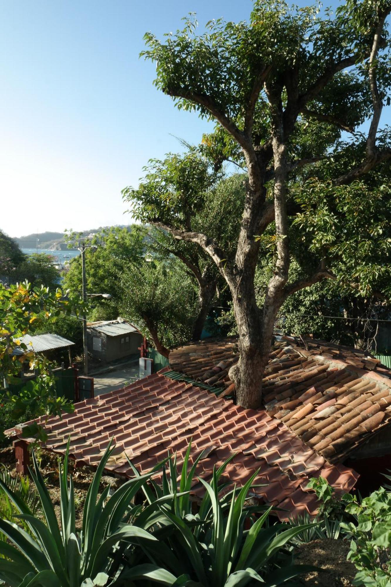 1 Bedroom Cabin, 3 Blocks From Beach And Center Of San Juan San Juan del Sur Luaran gambar